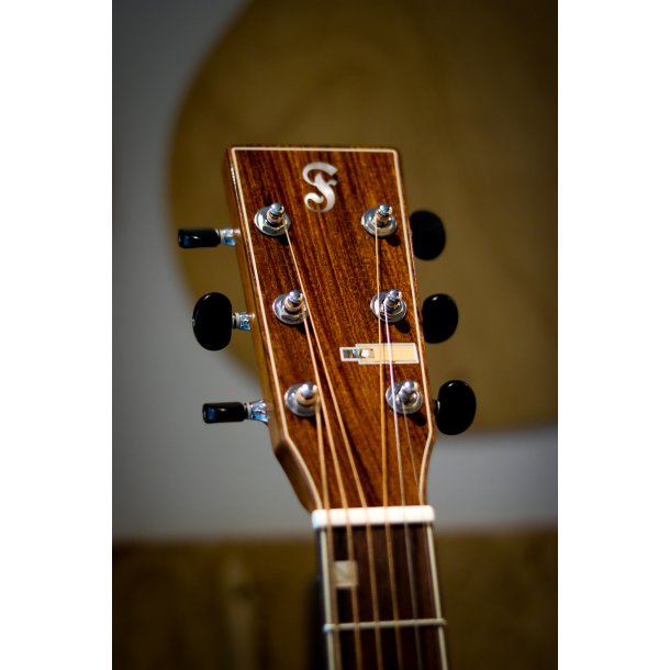 Fonzo V-201S OM Cutaway